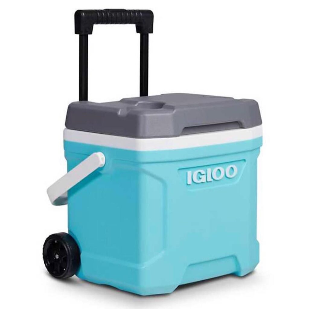 Smart Ice Cooler GH¢360